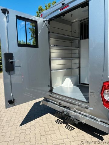 Livestock transporter MERCEDES-BENZ STX Sprinter  GG 4,100KG  Haras Hengste